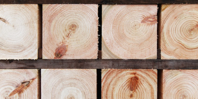 ヒノキ　イメージ