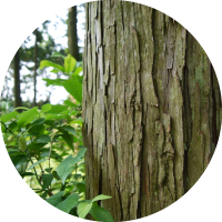 空間木質化のススメ